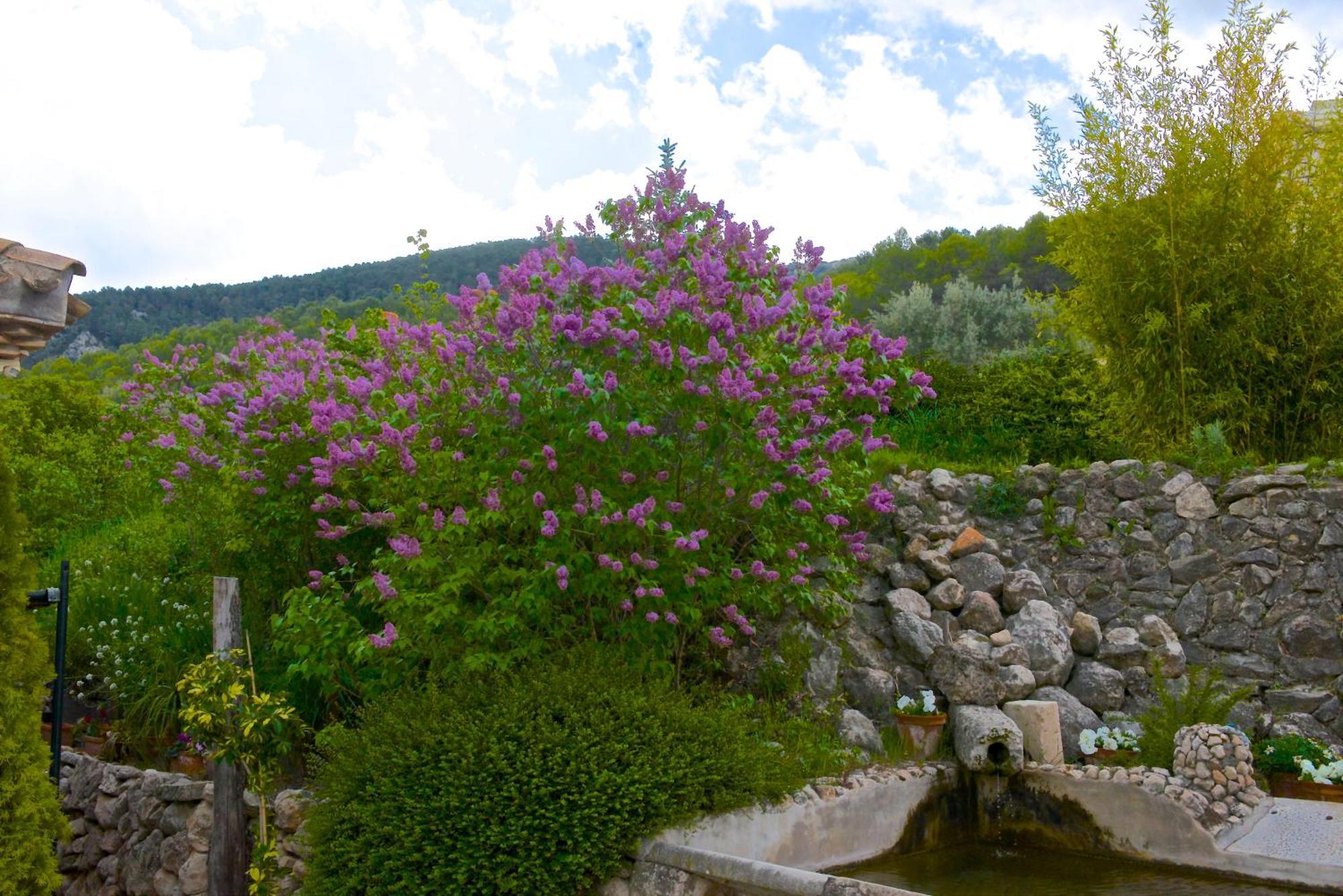 Eco Con Encanto Masia La Mota Alcoi
